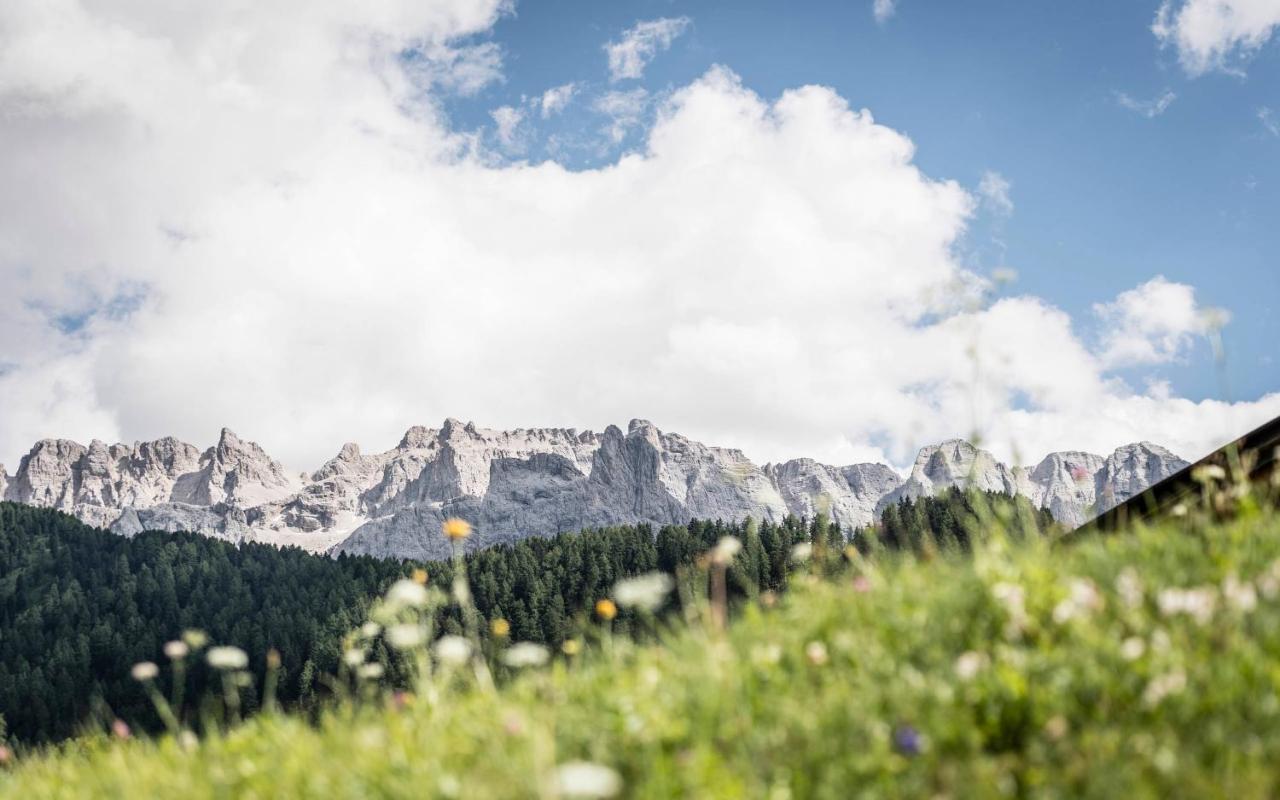 Cadepunt The Dolomites Lodge Selva di Val Gardena Zewnętrze zdjęcie